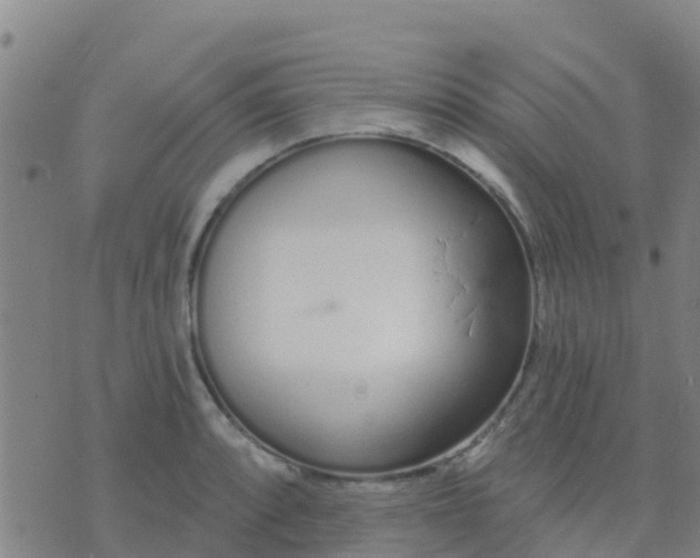 X0000074321088200609082001