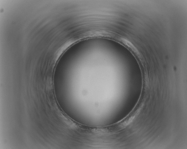 X0000074321089200609082001