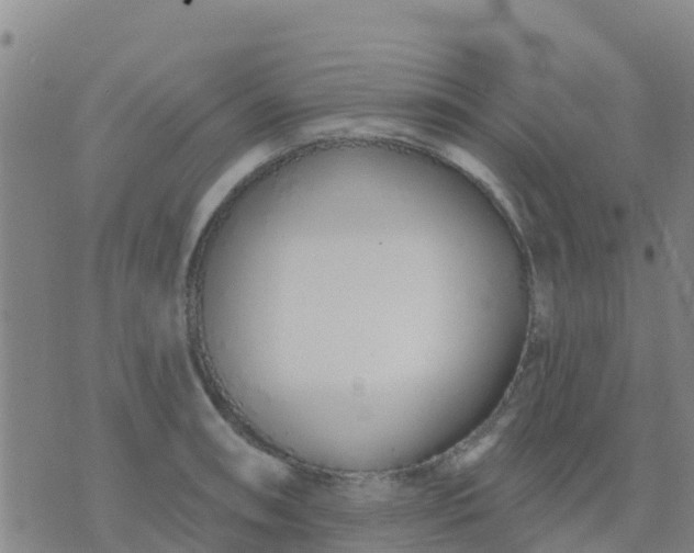 X0000074321090200609082001