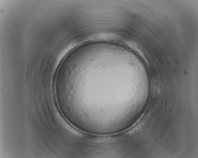 X0000074321091200609082001