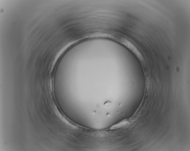 X0000074321092200609082001