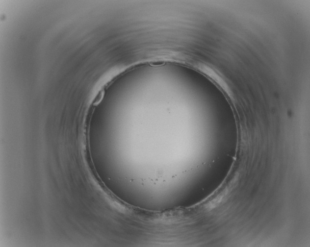 X0000074321093200609082001