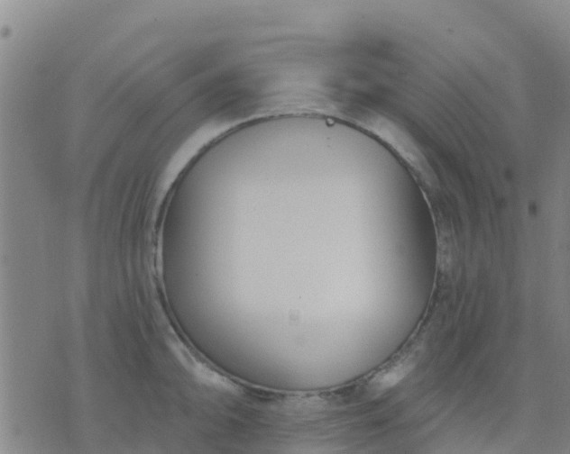 X0000074321094200609082001