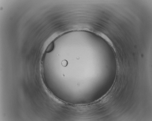 X0000074321096200609082001