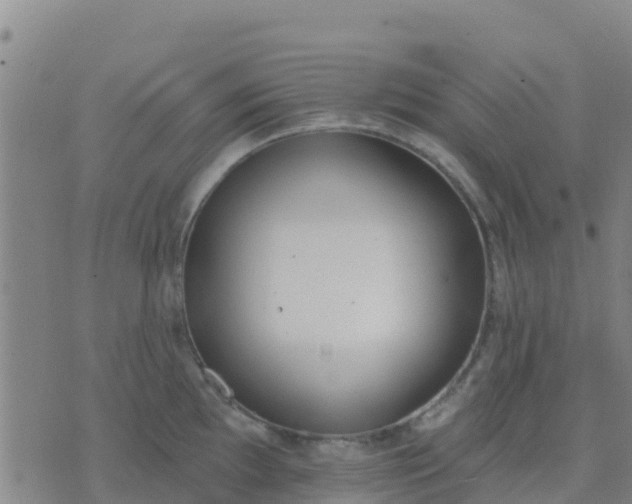 X0000074321097200609082001