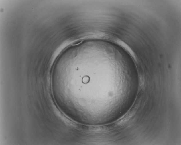 X0000074321099200609082001