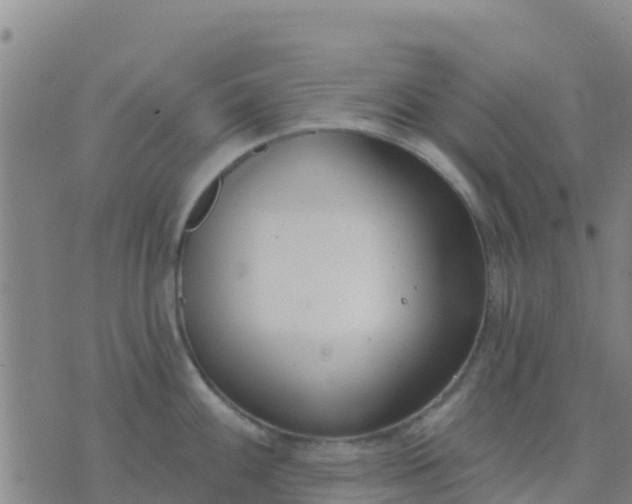 X0000074321100200609082001