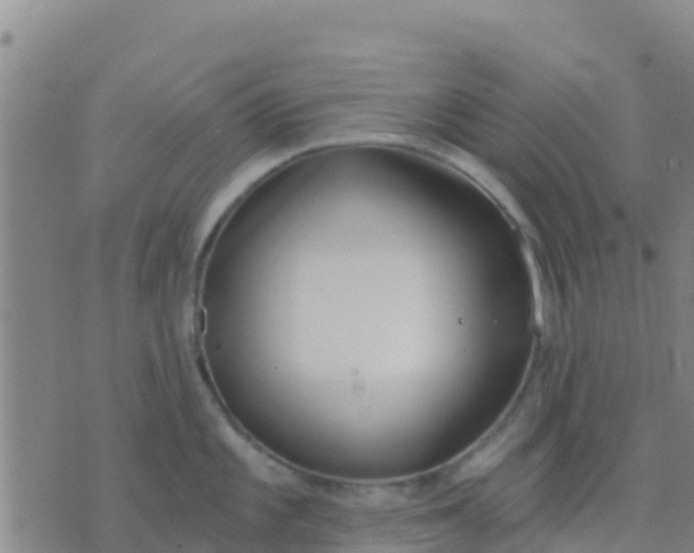 X0000074321101200609082001