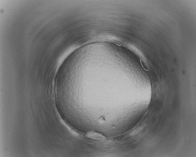 X0000074321103200609082001