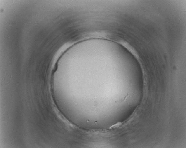 X0000074321104200609082001