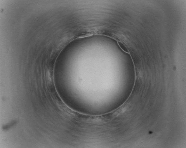 X0000074321106200609082000