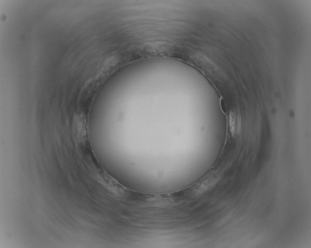 X0000074321107200609082000