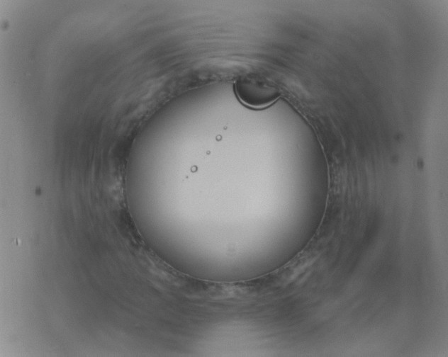 X0000074321109200609082000