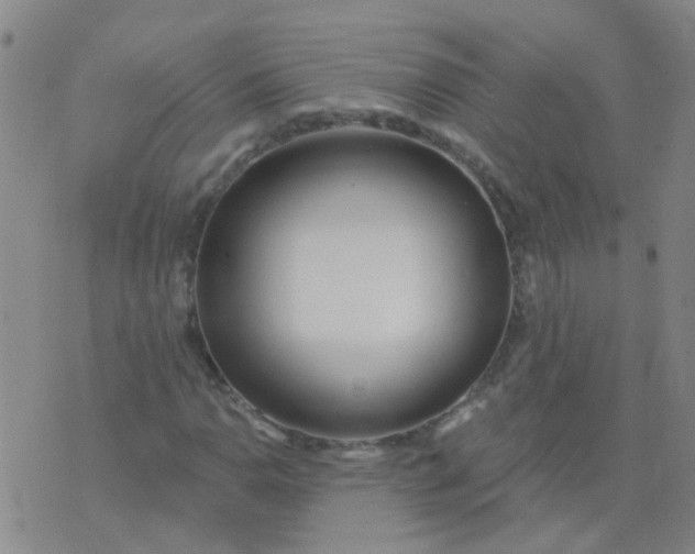 X0000074321110200609082000