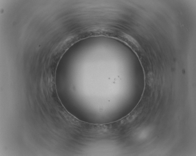 X0000074321111200609082000