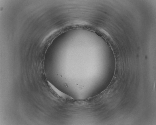 X0000074321112200609082000