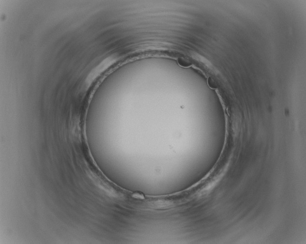 X0000074321113200609082000