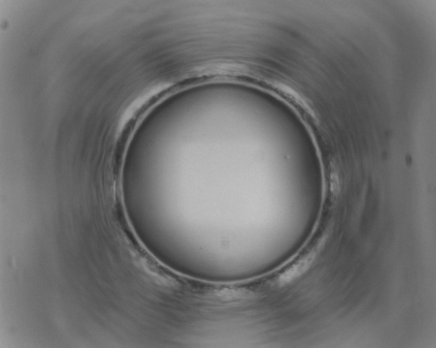 X0000074321117200609082000