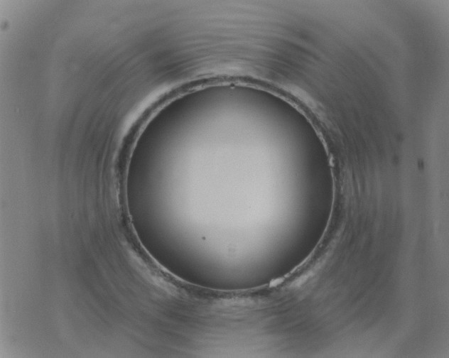 X0000074321118200609082000