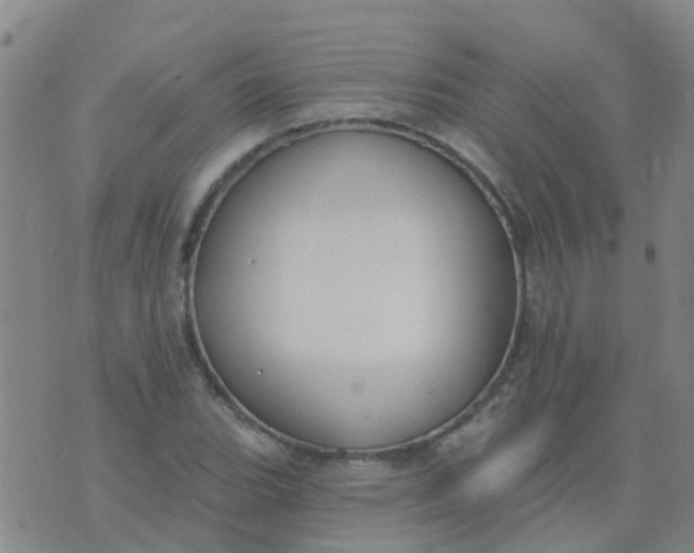 X0000074321119200609082000