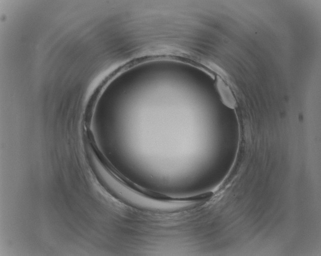 X0000074321120200609082000