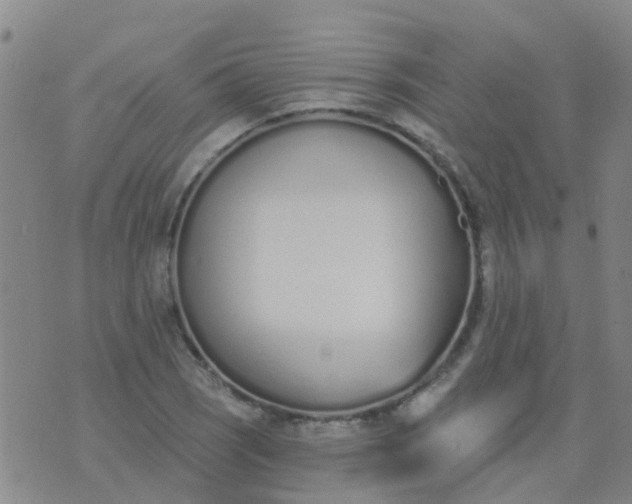 X0000074321121200609082000