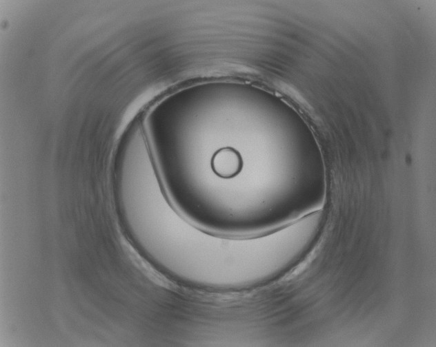 X0000074321122200609082000