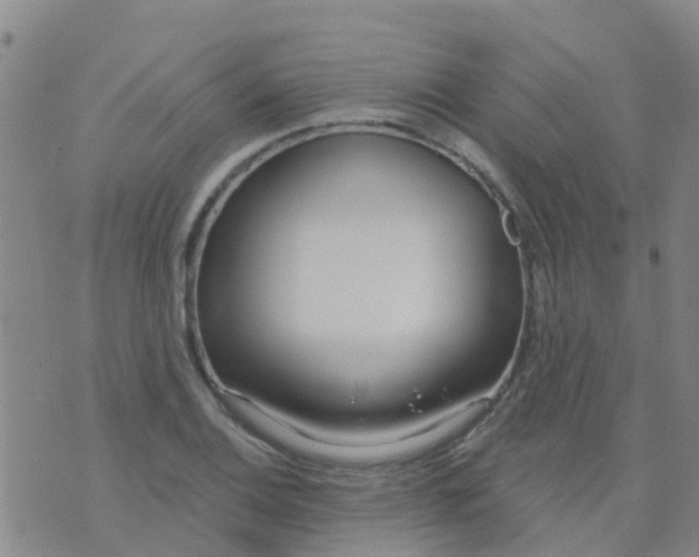 X0000074321124200609082000