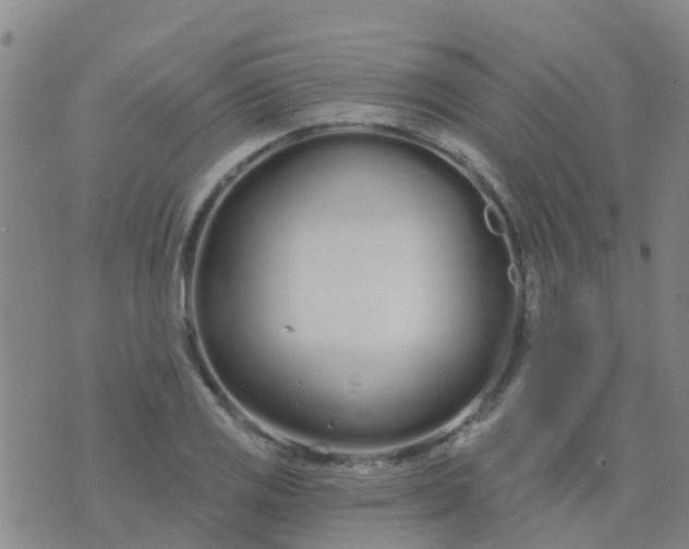 X0000074321125200609082000