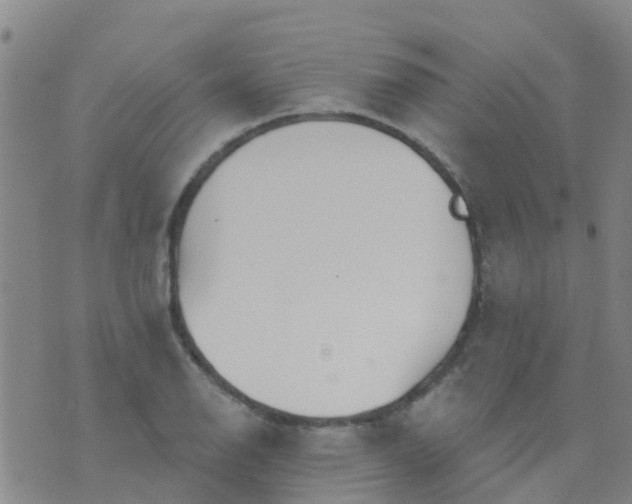 X0000074321126200609082000