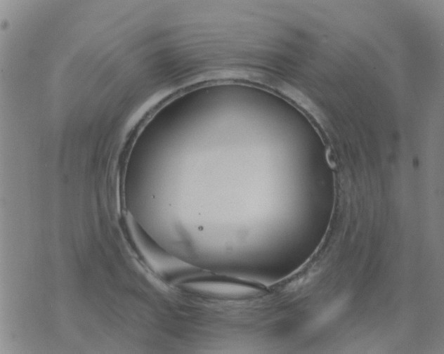 X0000074321127200609082000