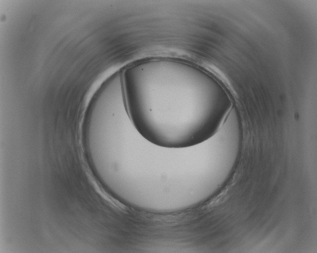 X0000074321128200609082000