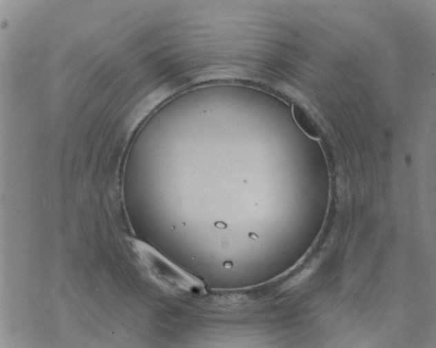 X0000074321129200609082000