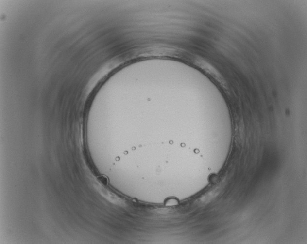 X0000074321130200609082000