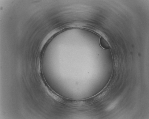 X0000074321131200609082000