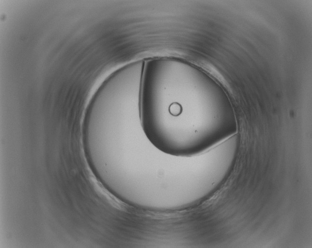 X0000074321132200609082000