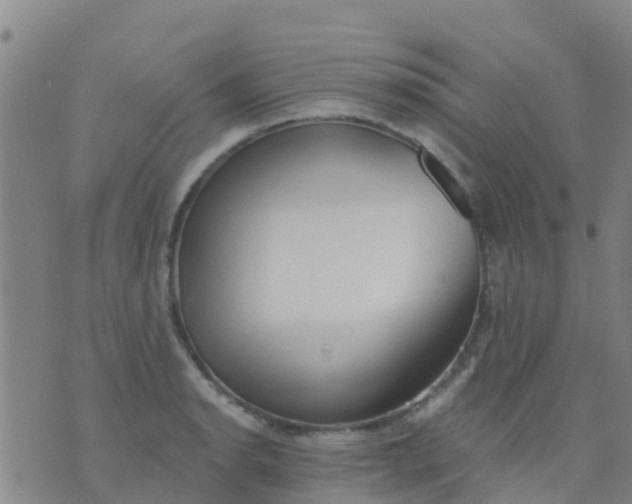 X0000074321134200609082000