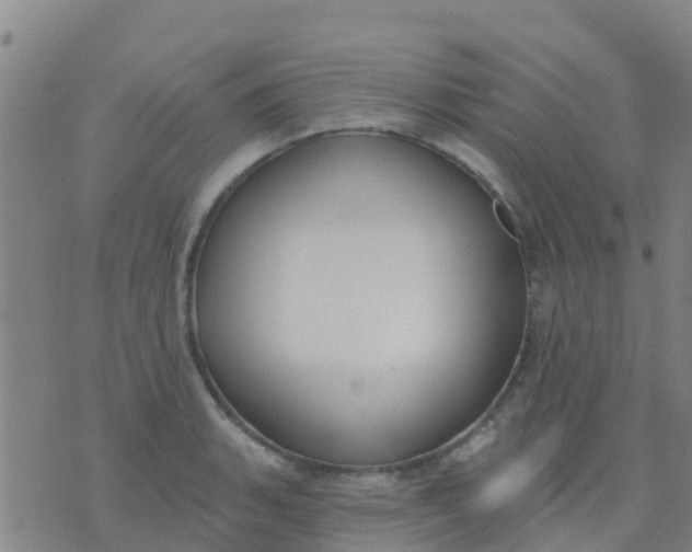 X0000074321135200609082000