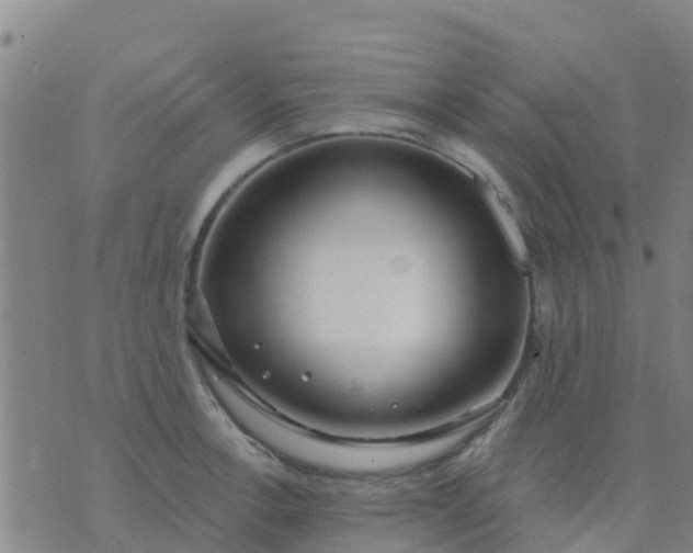 X0000074321138200609082000