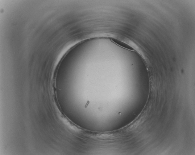 X0000074321140200609082000