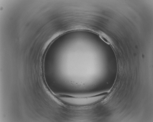 X0000074321142200609082000