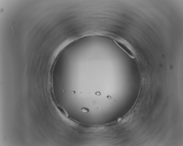 X0000074321143200609082000