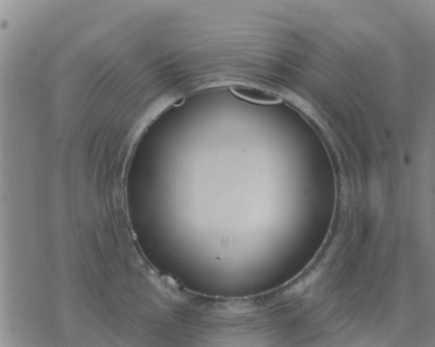 X0000074321145200609082000