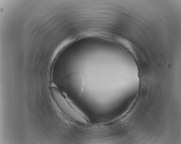 X0000074321146200609082000