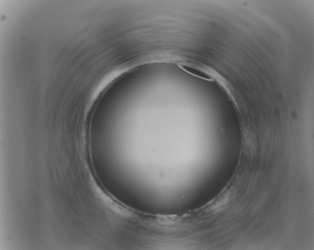 X0000074321147200609082001