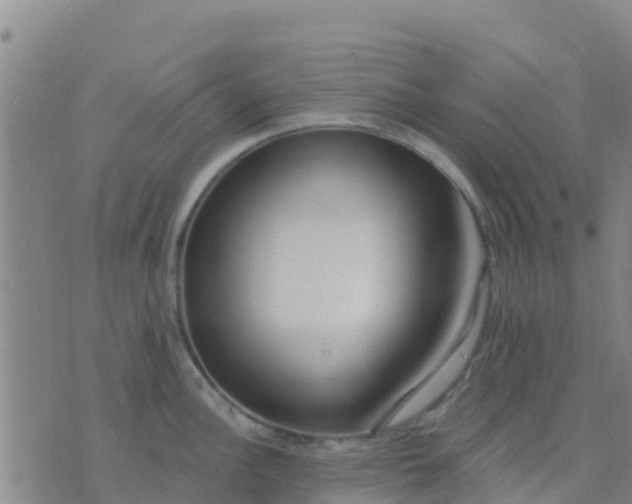 X0000074321148200609082001