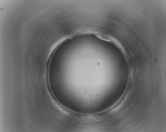 X0000074321149200609082001