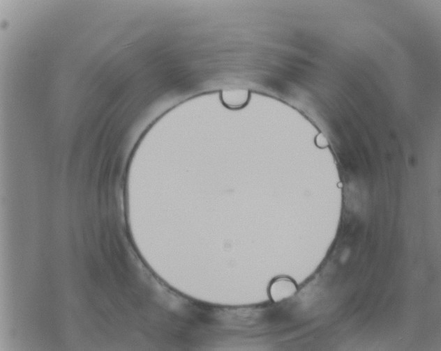 X0000074321150200609082001