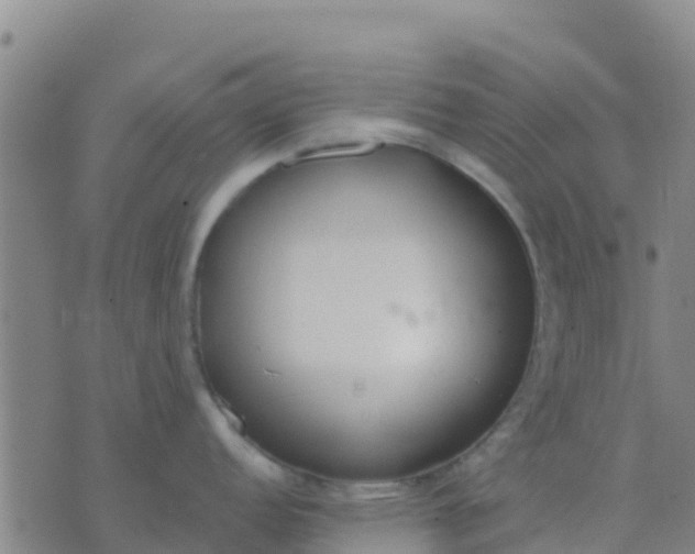 X0000074321152200609082001