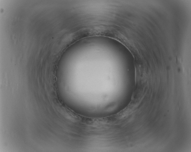 X0000074321153200609082000